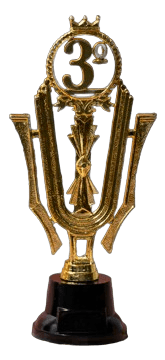 THIRD Prize